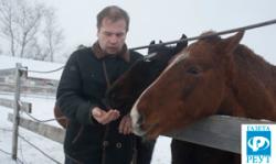 Реутовчанин Сергей Балаев разводит крокодилов и улиток