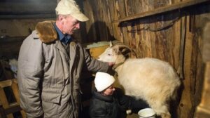 Фермеры давно ждут инвестиции