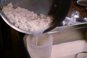 Мастер класс по приготовлению мягкого рассольного сыра — фото 1